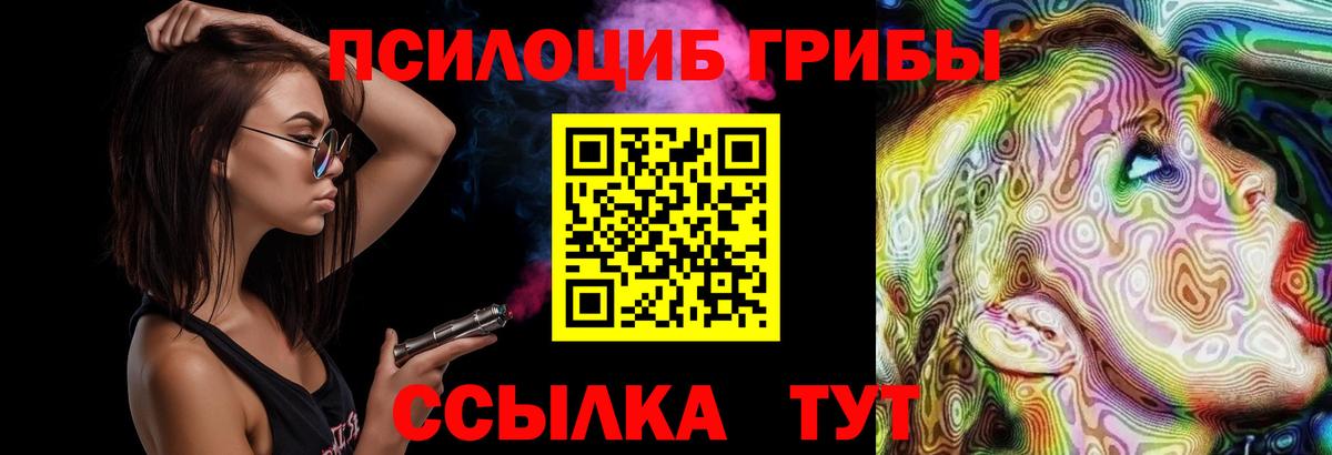 Галлюциногенные грибы Magic Shrooms  магазин    Брянск  Вход с VPN 